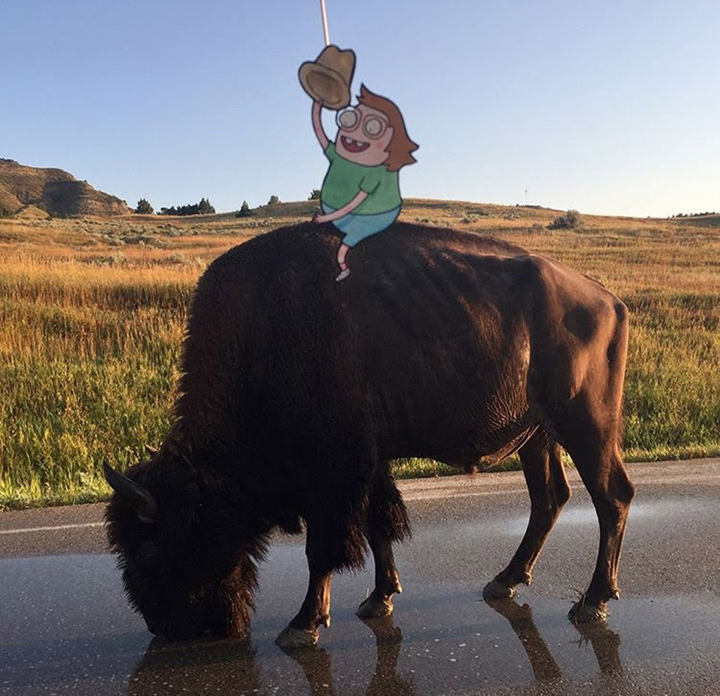 CO-33-C-CowGirl