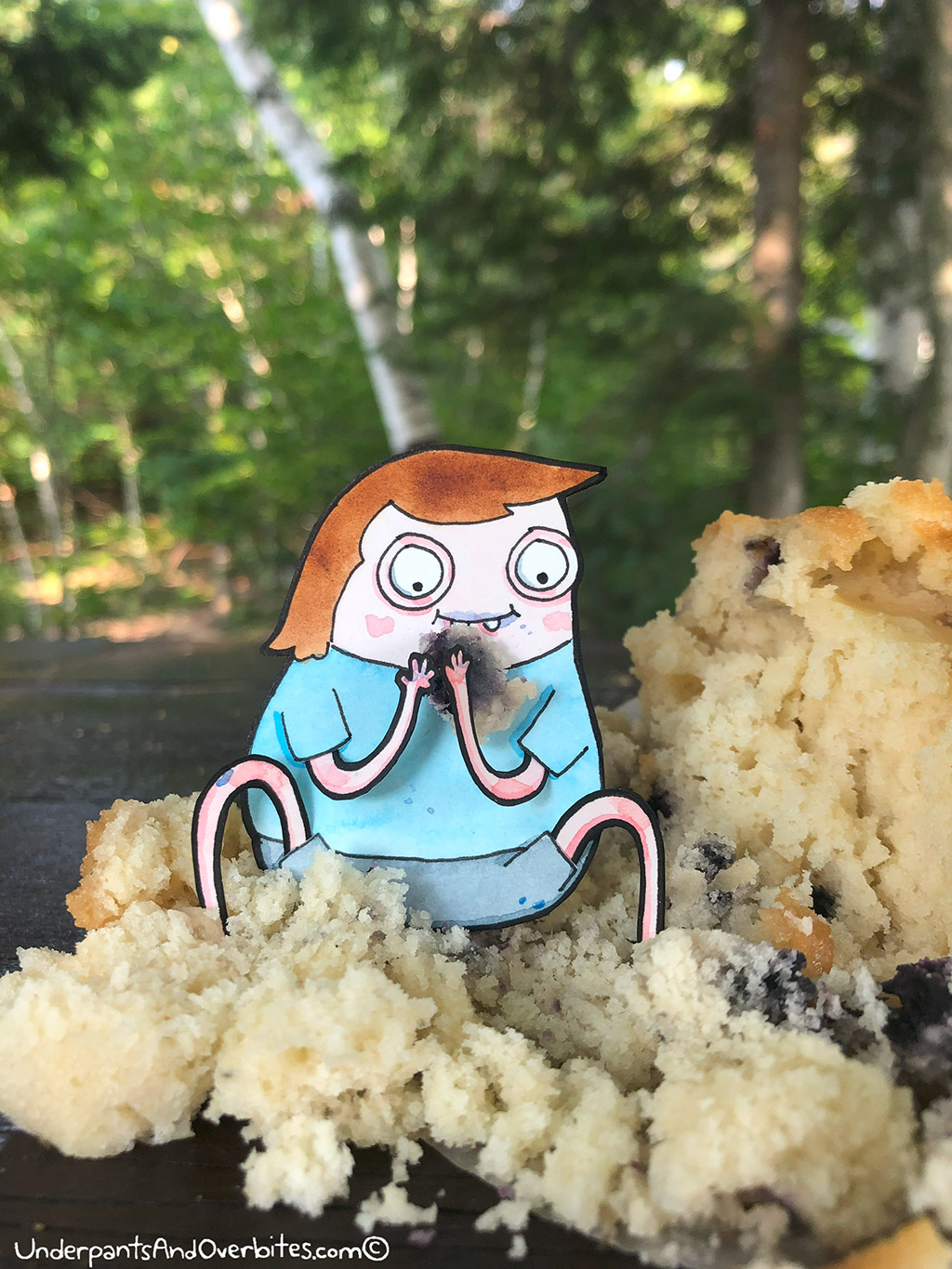 Blueberry Muffin