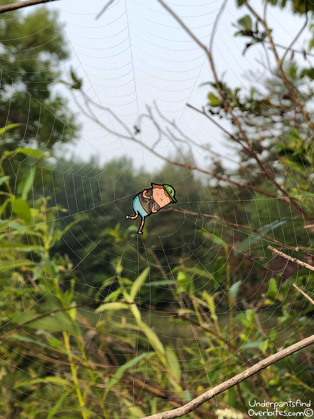 Spider Web