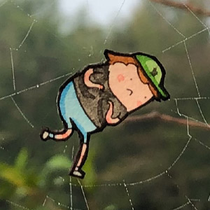 Spider Web
