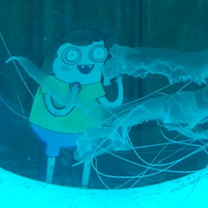 Jellyfish