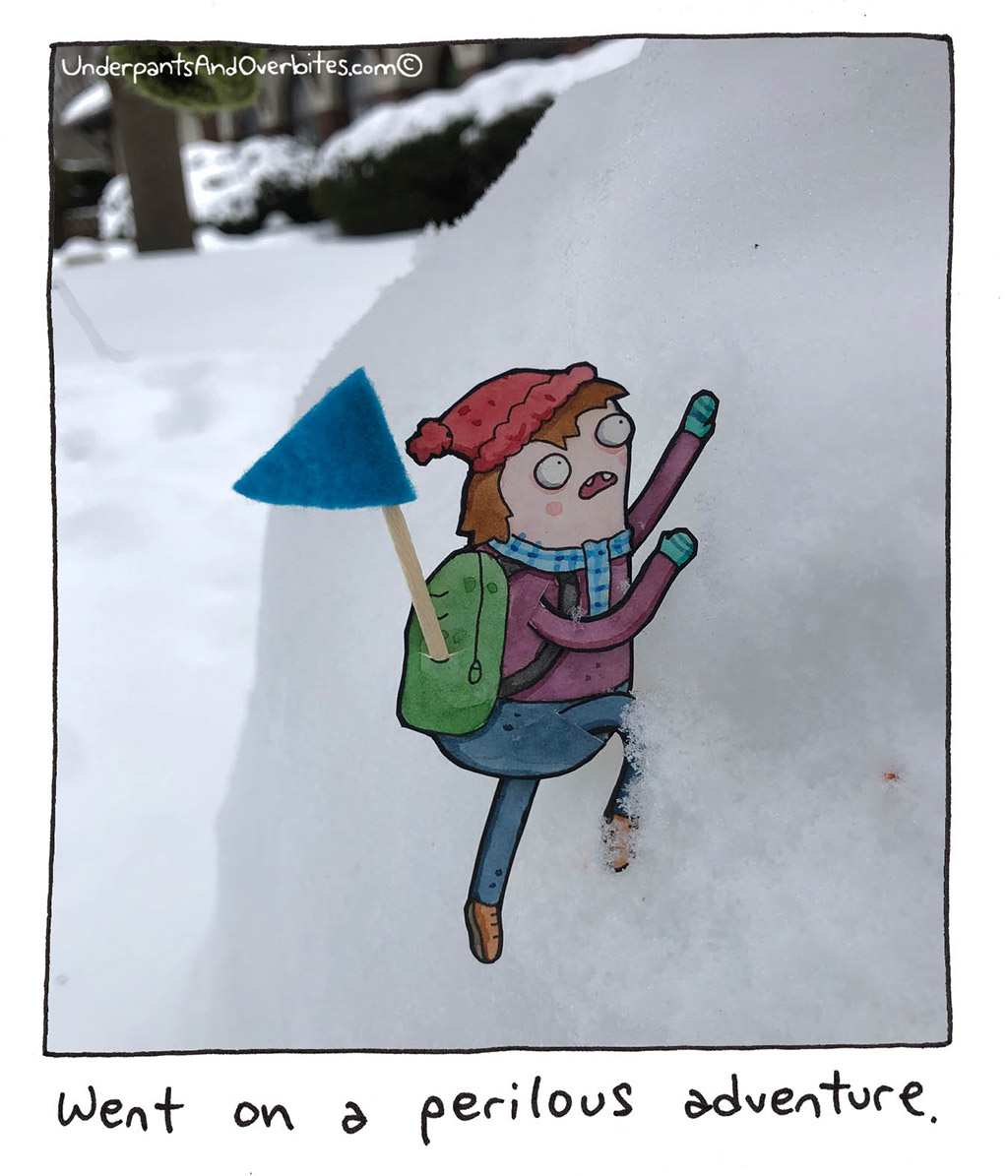Snowy Excursion