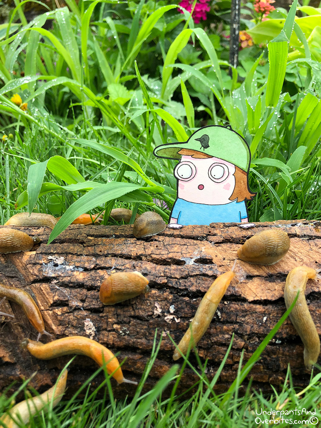 Slug Party