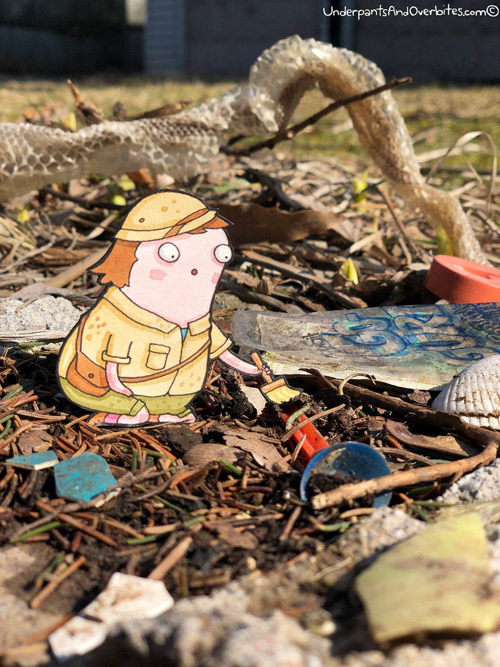 Backyard Archeologist