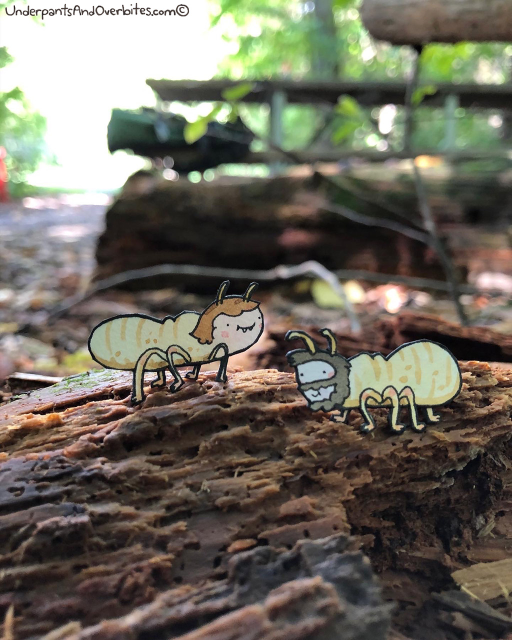 Termites