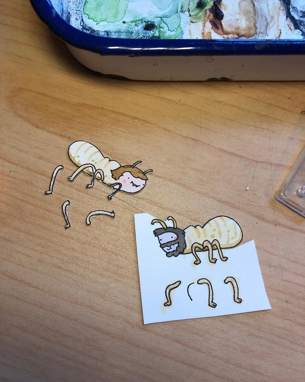 CO-87-B-Termites