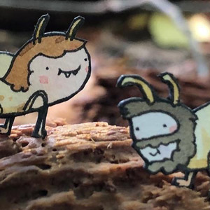 Termites
