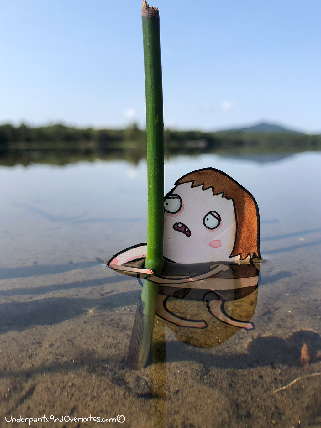 Swim Break
