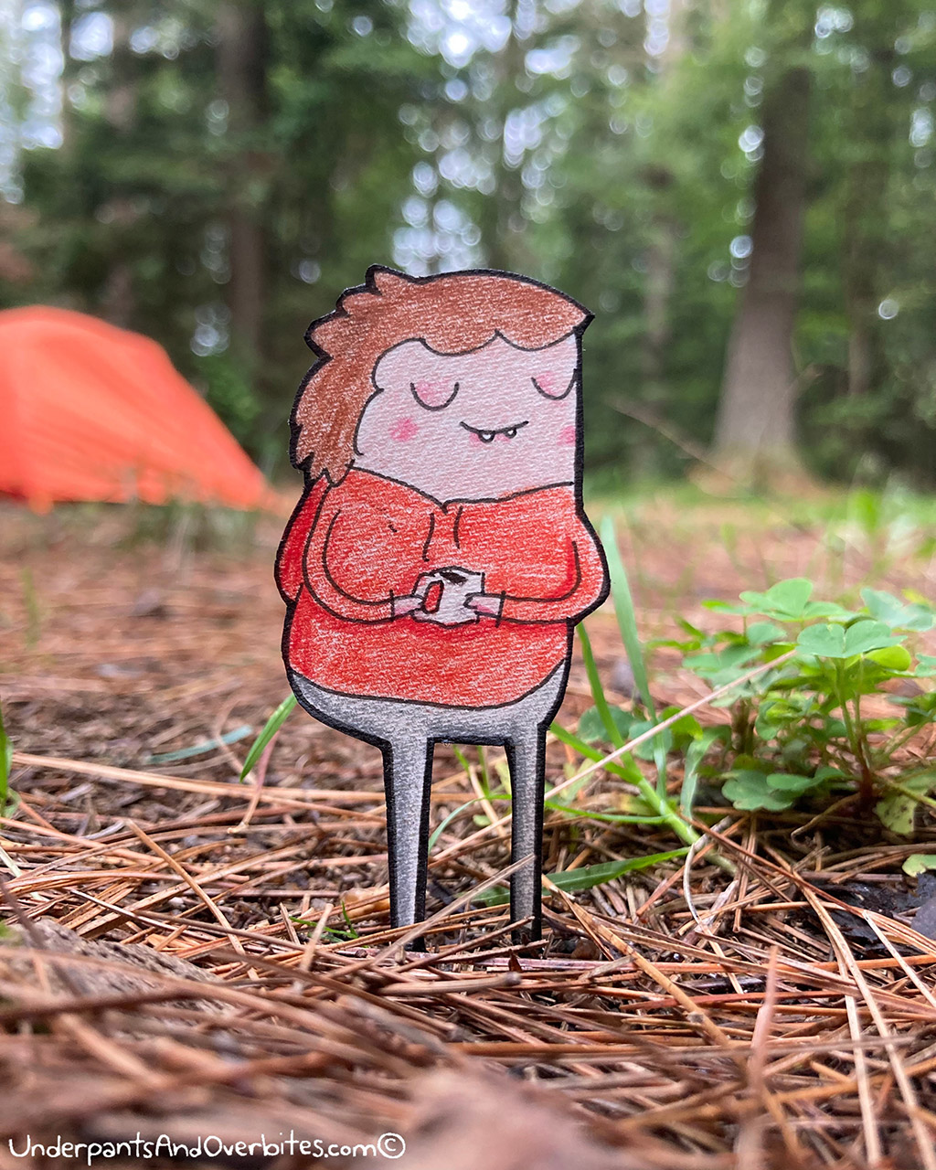 Waking Up In The Woods