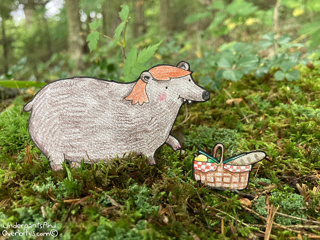 Bear Picnic