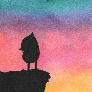 Cliff Gazer