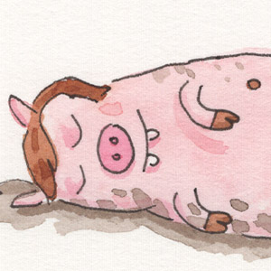 Me As More Animals