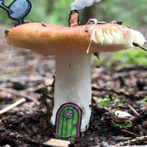 Mushroom House